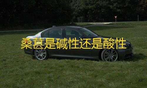 暗区突围直装桑葚是碱性还是酸性